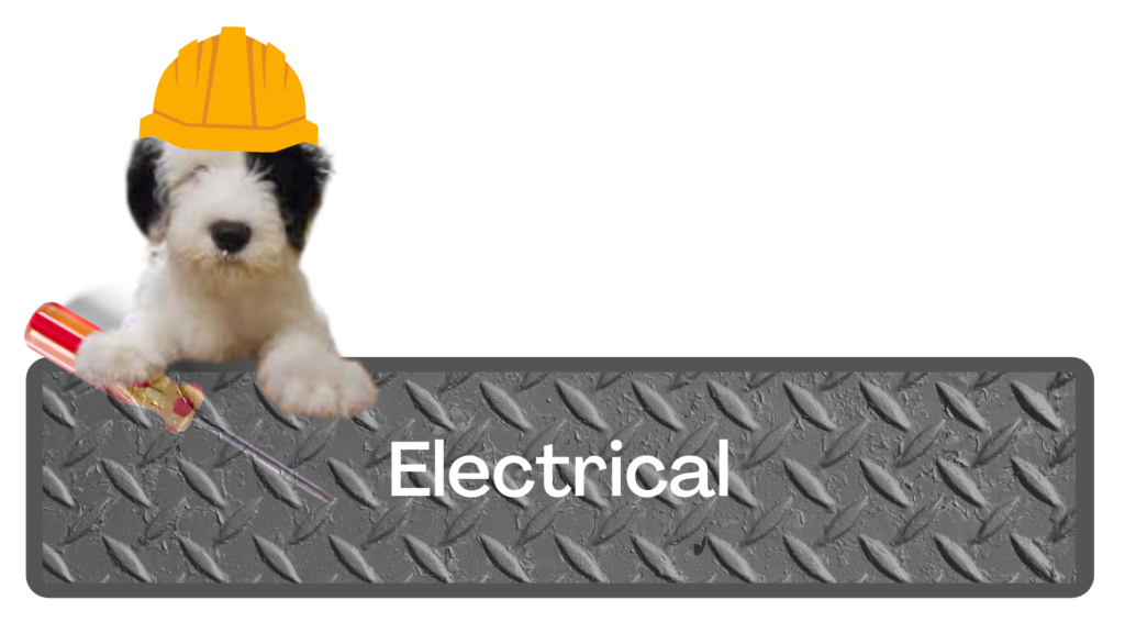 Electrician